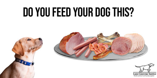 Meats to Never Give Your Dog