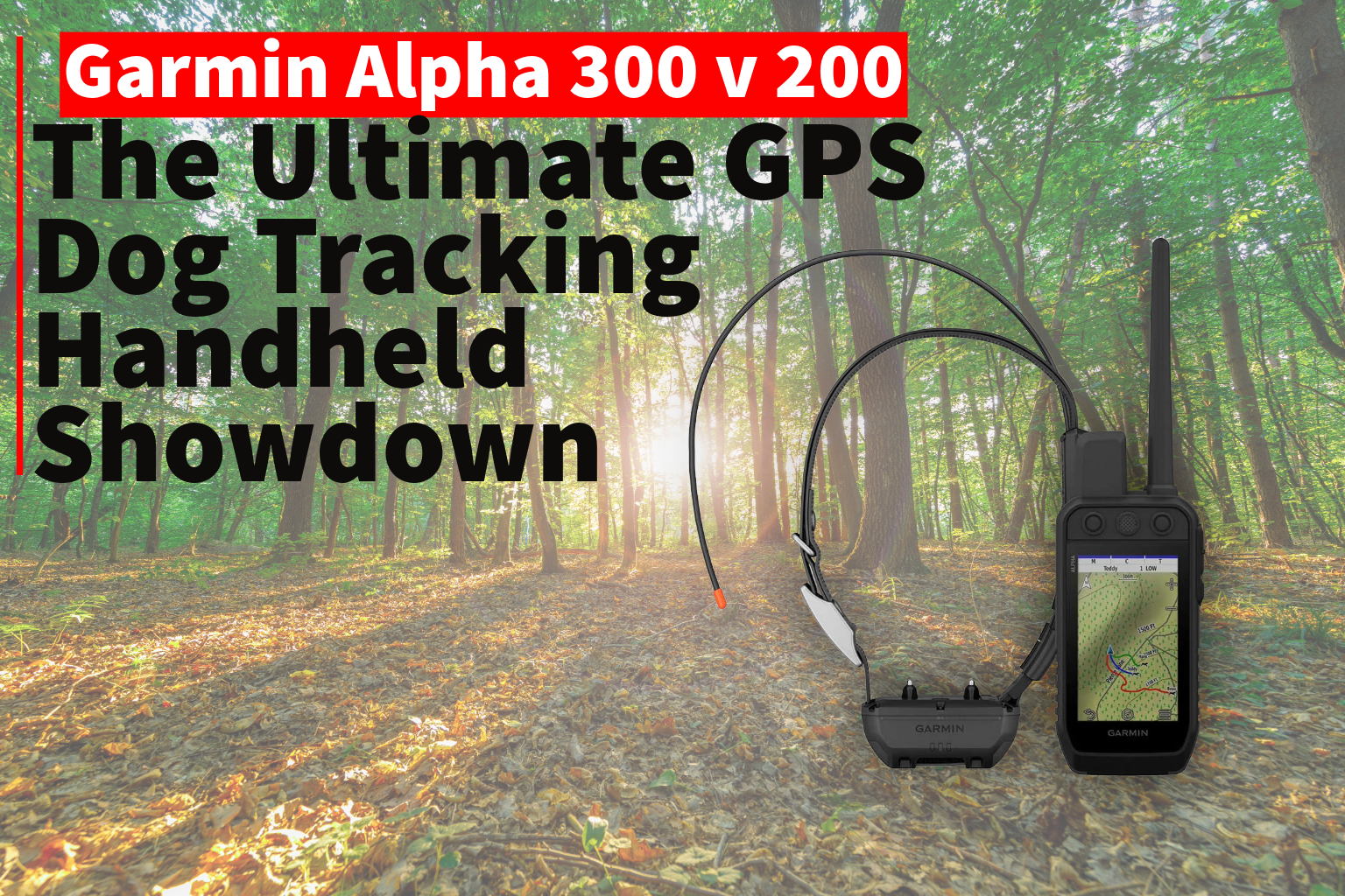 Garmin Alpha 300 vs Alpha 200 Handheld: Which GPS Dog Tracking & Training System Is Right for You?