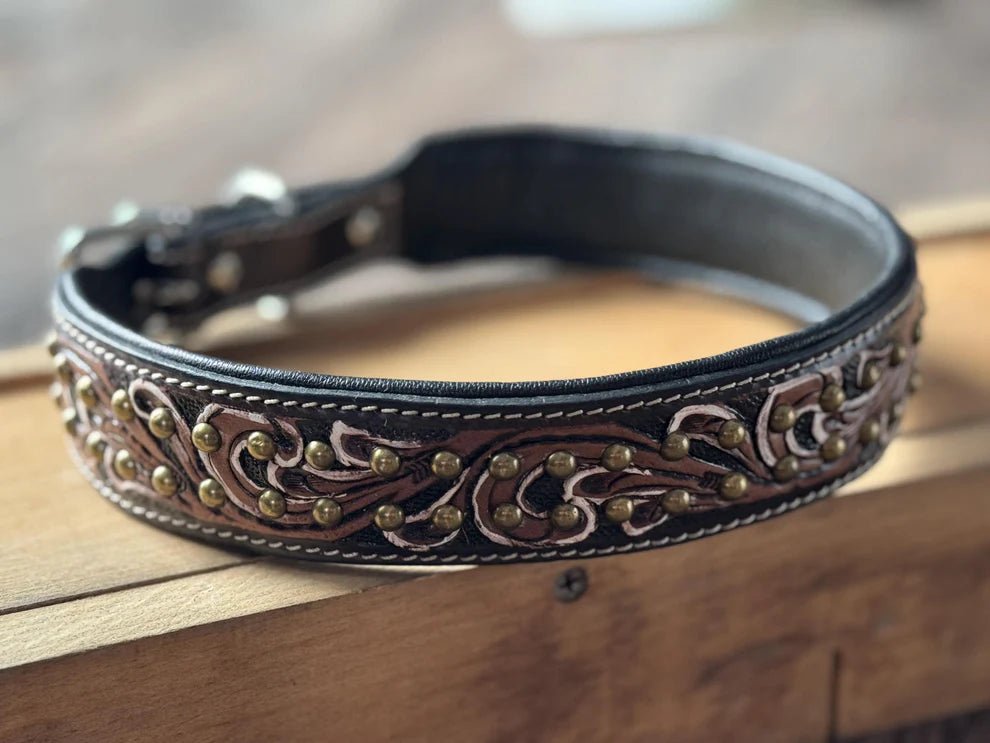 Hand - Tooled & Painted Leather Dog Collars - Lion Country Supply