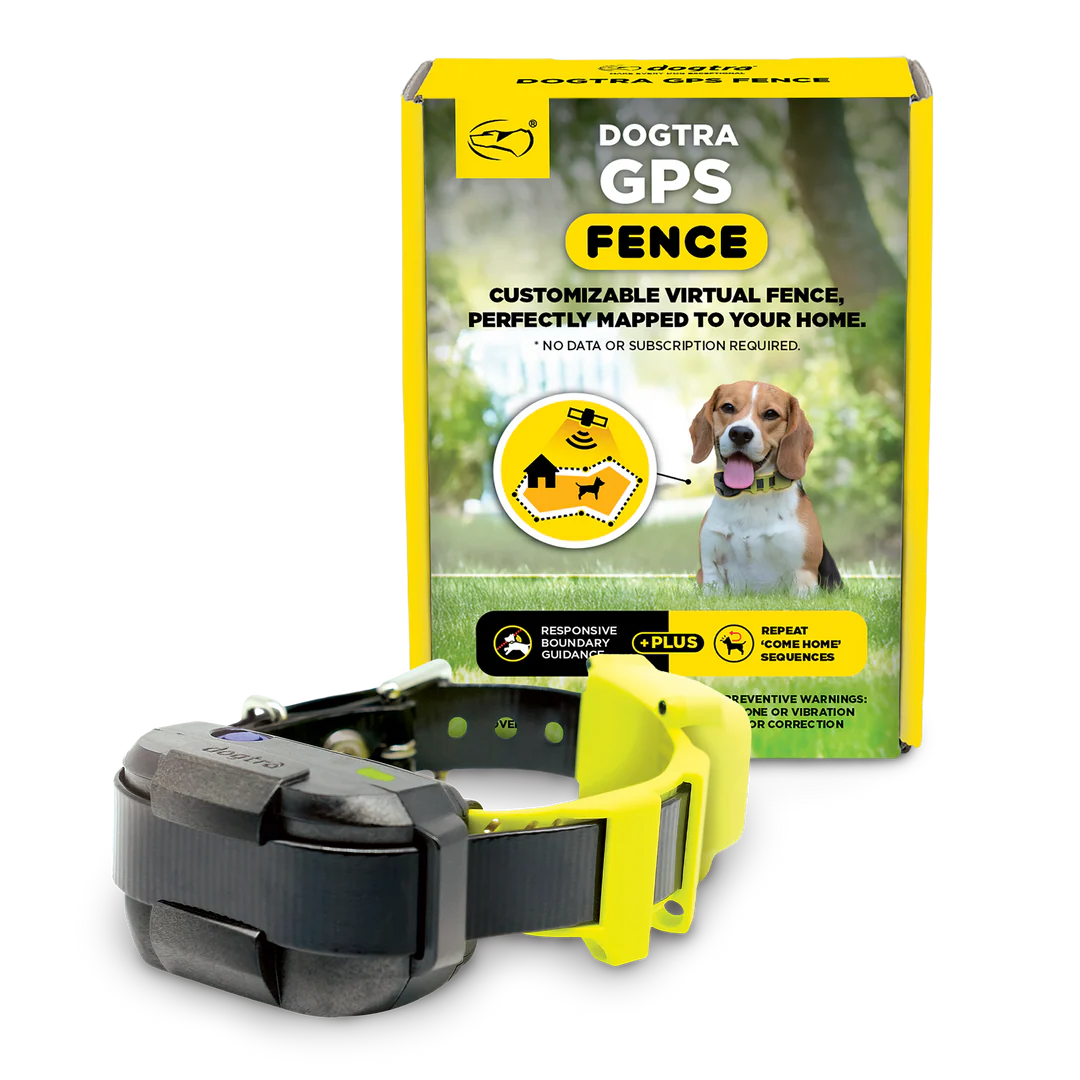 Dogtra GPS Fence collar with packaging on a white background
