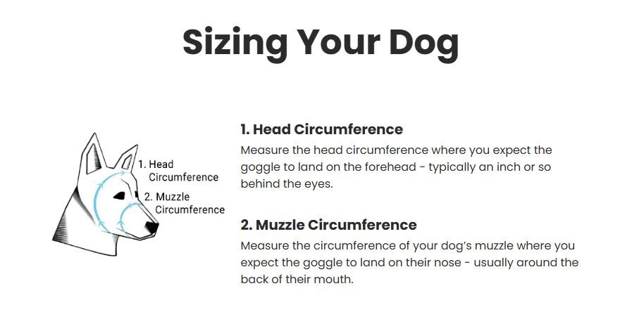 Rex Specs - Dog Goggles