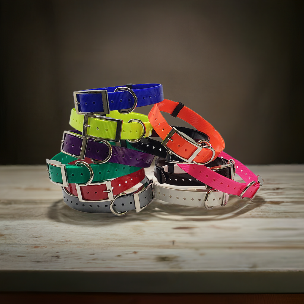 1 inch E-Collar Replacement Strap