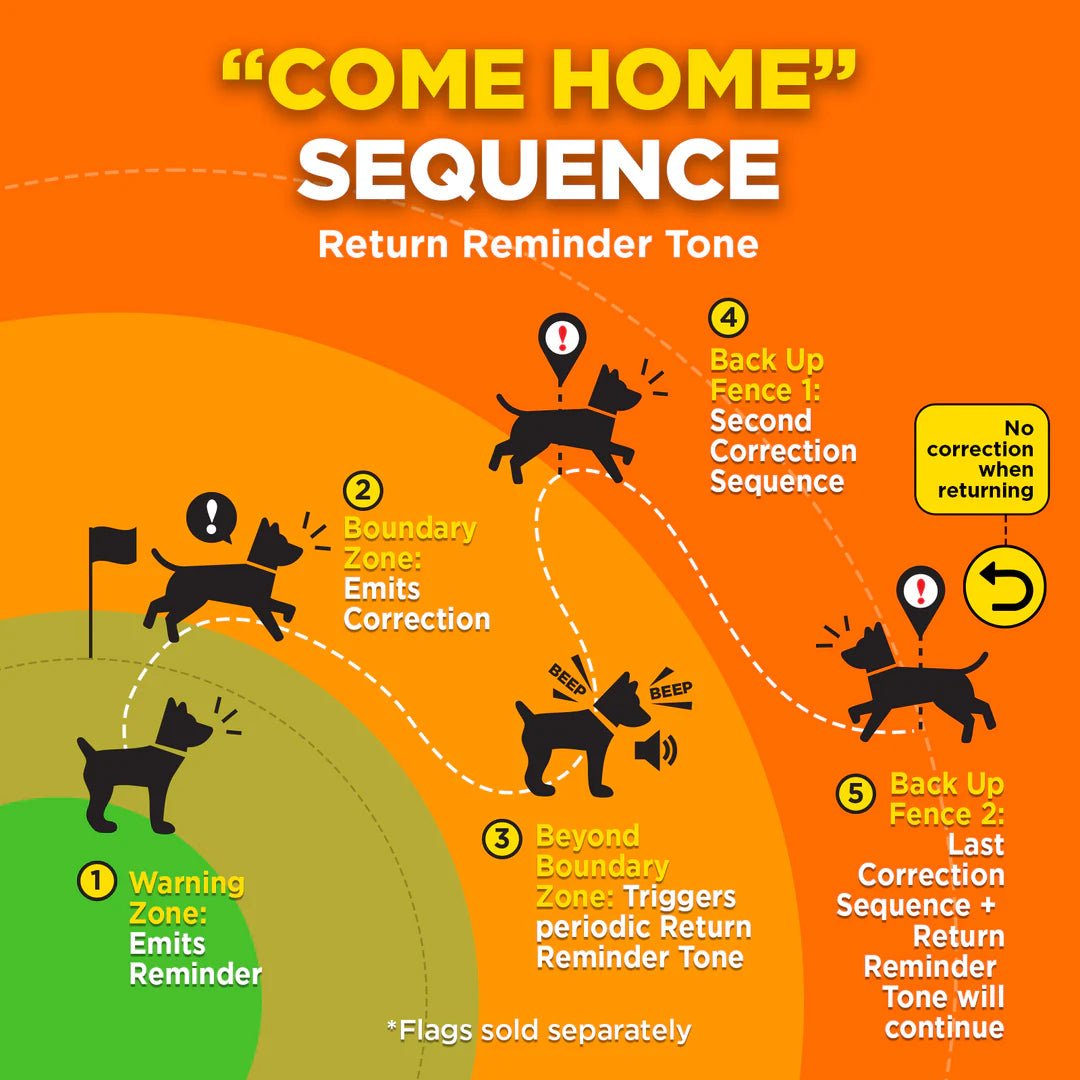 Dogtra GPS Wireless Fence
