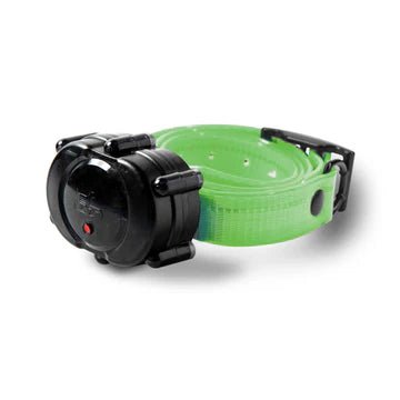 DT Systems Micro-iD Plus Extra Collar