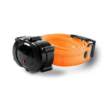 DT Systems Micro-iD Plus Extra Collar