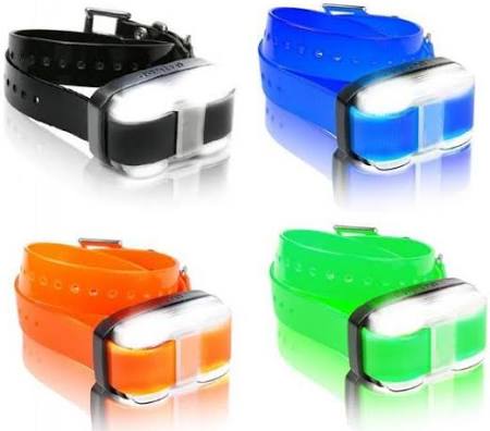 Dogtra Edge Extra Collar