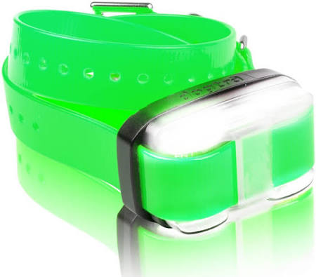 Dogtra Edge Extra Collar