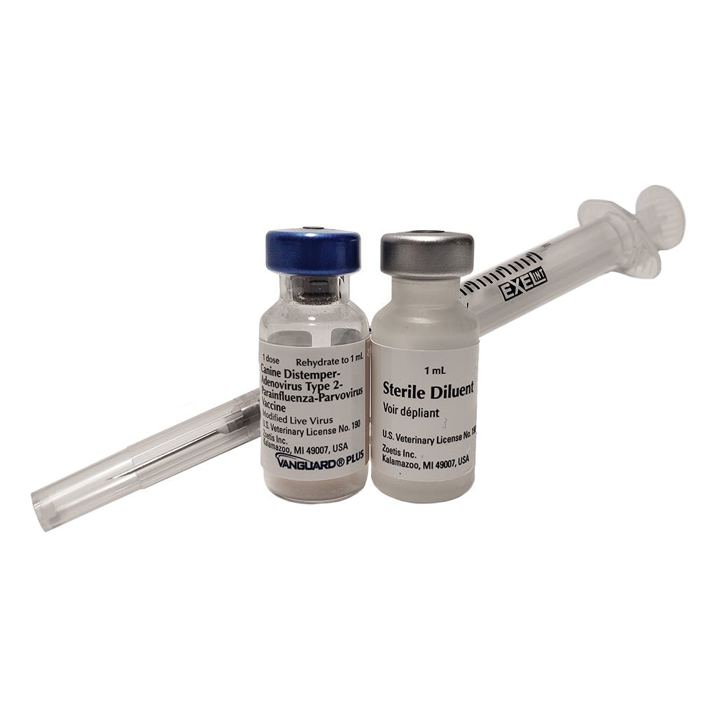 Lambert Vet Supply 5 Way Puppy Vaccine With Syringe Single Dose – Hunting Dog Supply
