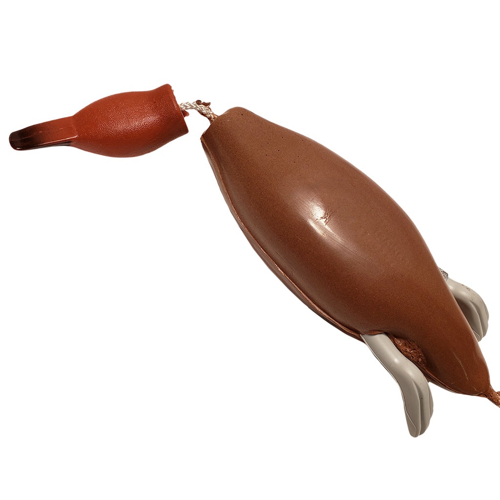 Dead Fowl Trainer Cinnamon Teal