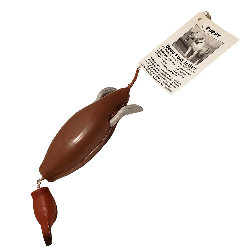 Dead Fowl Trainer Cinnamon Teal