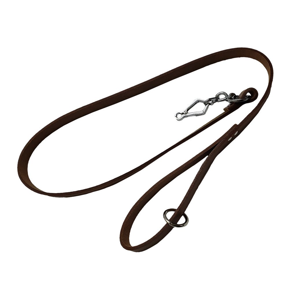 French Snap Beagle Lead