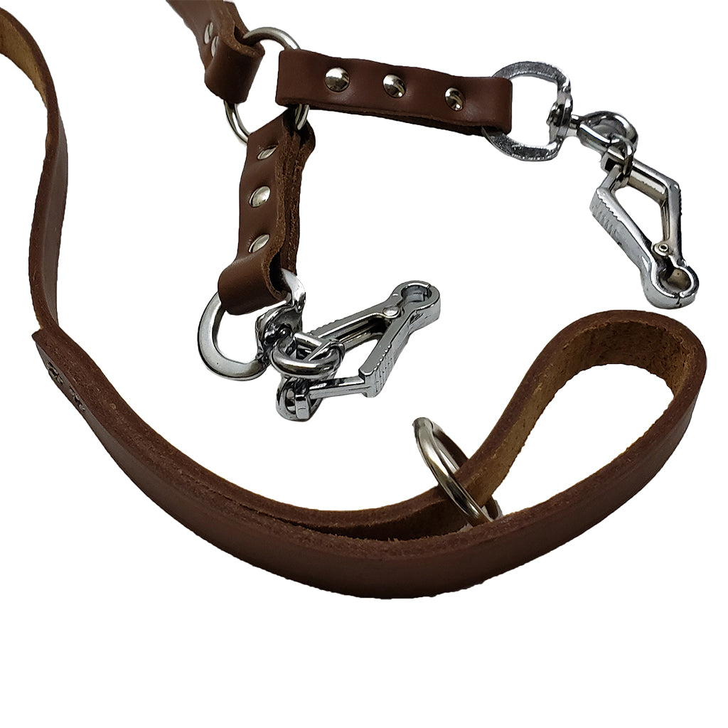 French Snap Double Lead