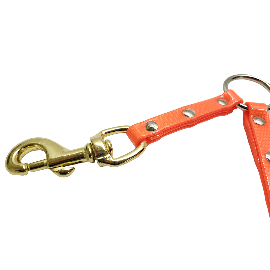 DayGlo 2-Dog Coupler