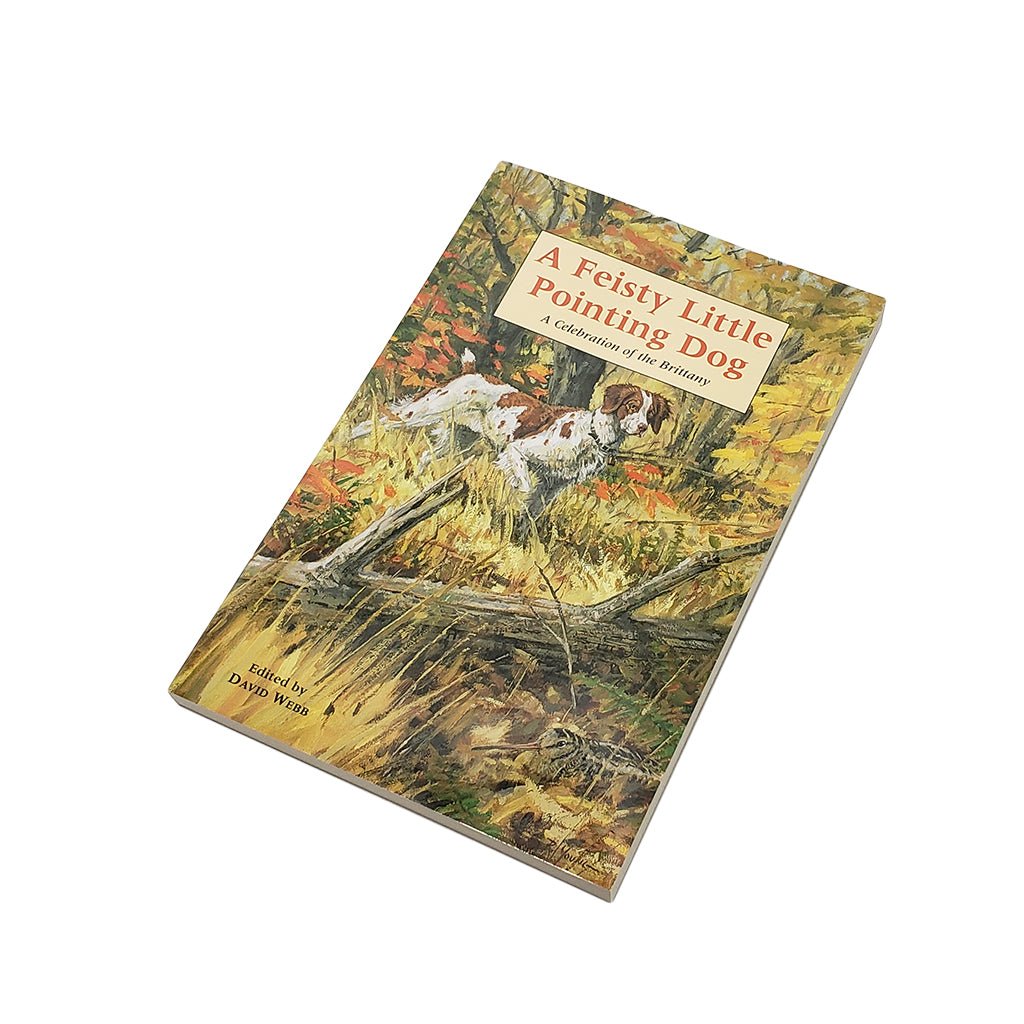 A Feisty Little Pointing Dog