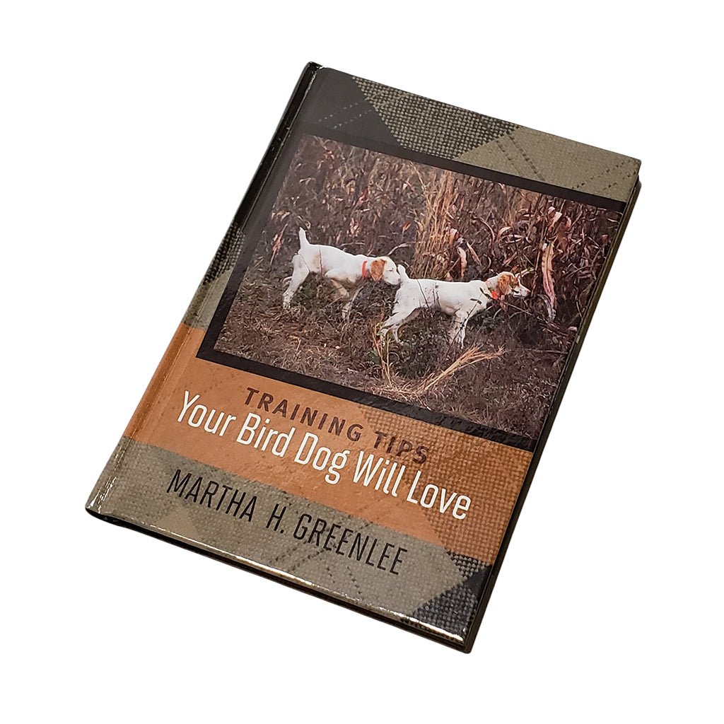 Training Tips Your Bird Dog Will Love