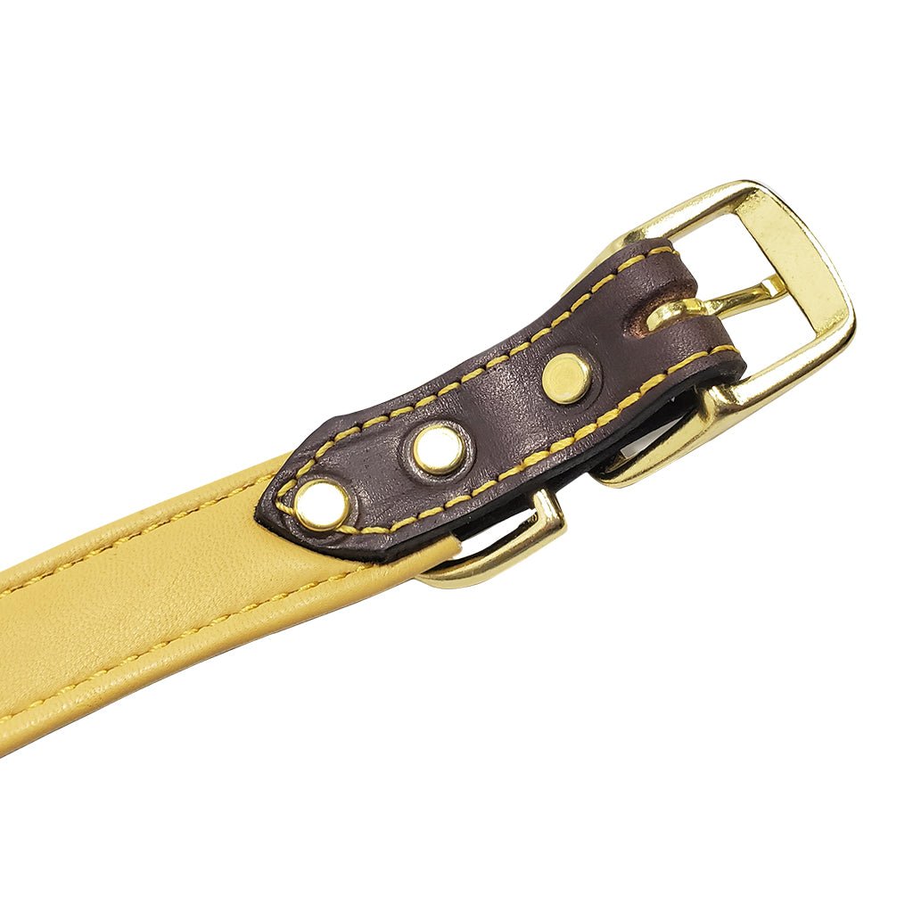 3/4 LCS Deerskin Lined Leather Collar