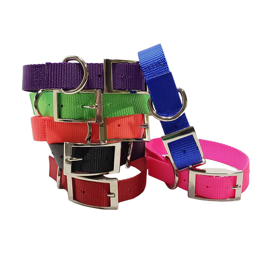 Omnipet 1 Inch Single Ply Nylon Collar – Hunting Dog Supply