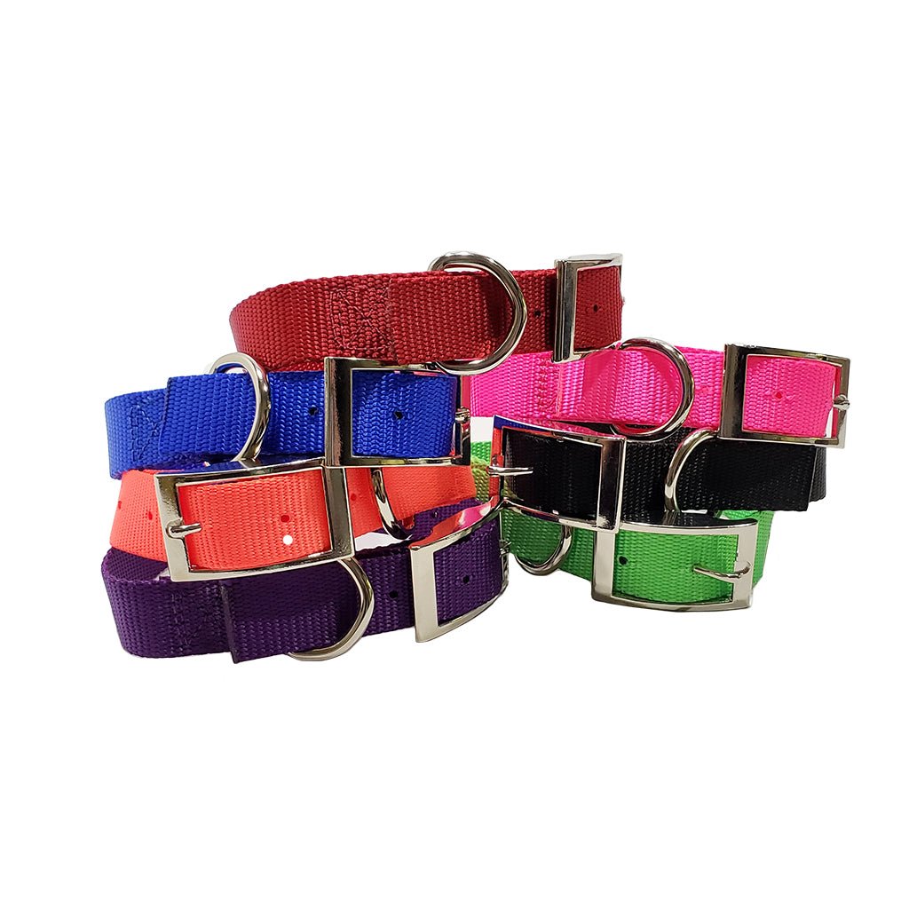 Omnipet 3/4" Inch Single Ply Nylon Collar – Hunting Dog Supply