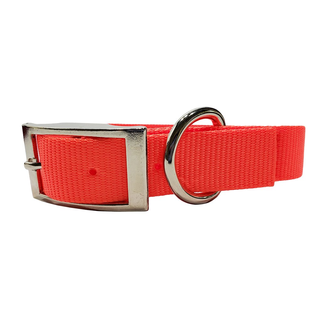 1 Inch Single Ply Nylon Collar