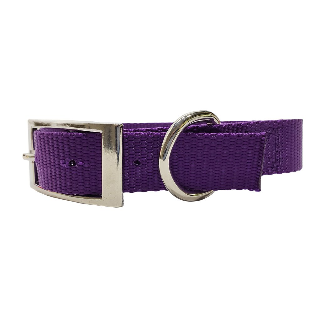 1 Inch Single Ply Nylon Collar