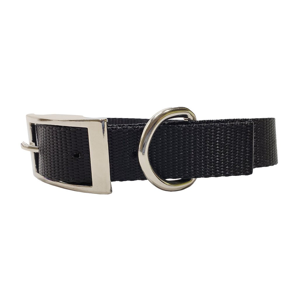 1 Inch Single Ply Nylon Collar