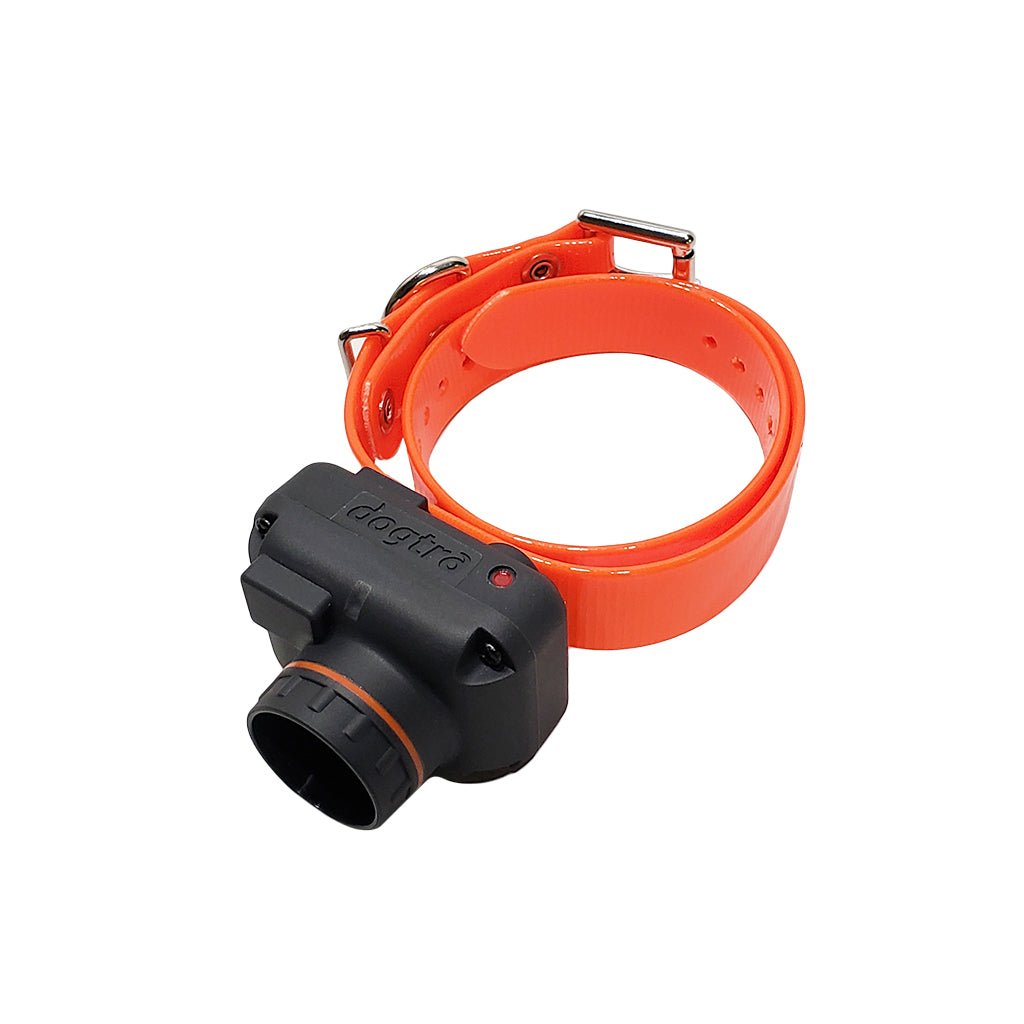 Dogtra STB Beeper Collar
