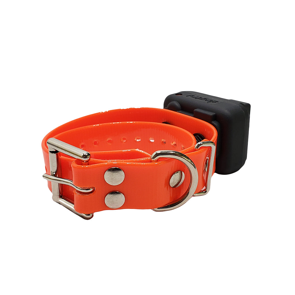 Dogtra STB Beeper Collar