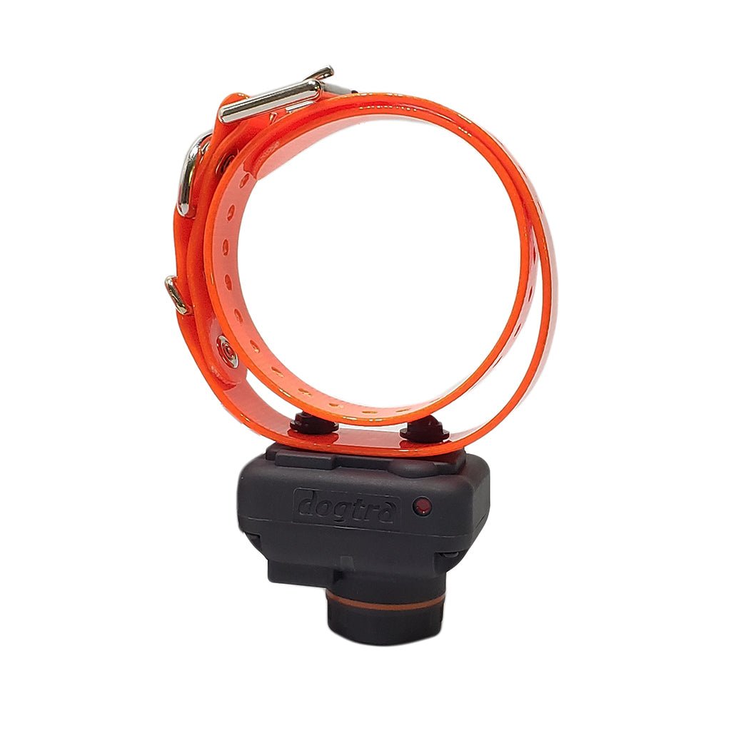 Dogtra Dogtra STB Beeper Collar – Hunting Dog Supply