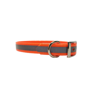 LCS Reflective 3/4 Inch Dayglo D-Ring Collar