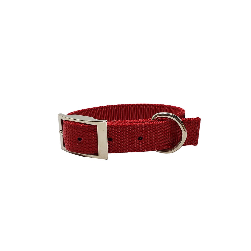 LCS Heavy Duty Nylon 1" Collar