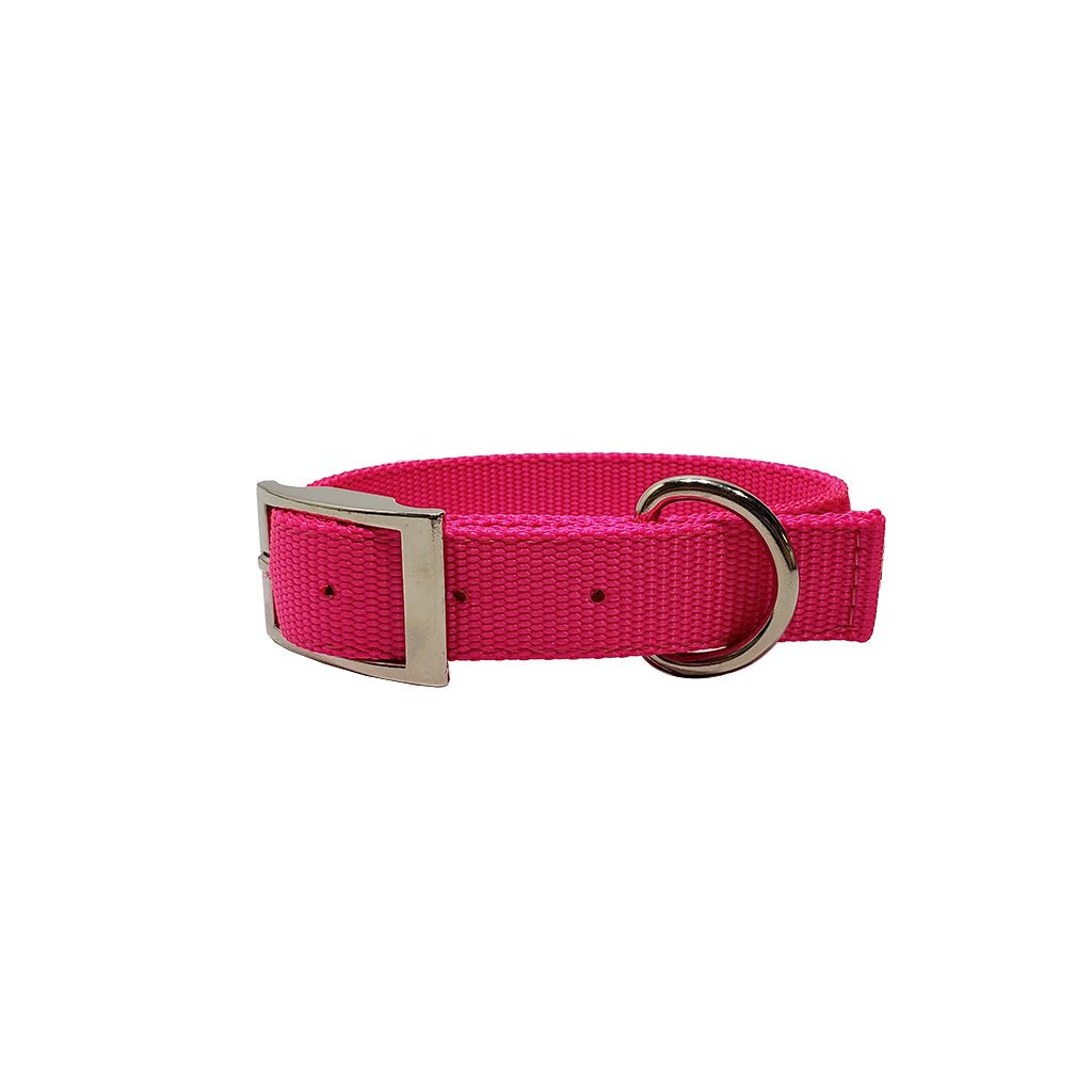 LCS Heavy Duty Nylon 1" Collar