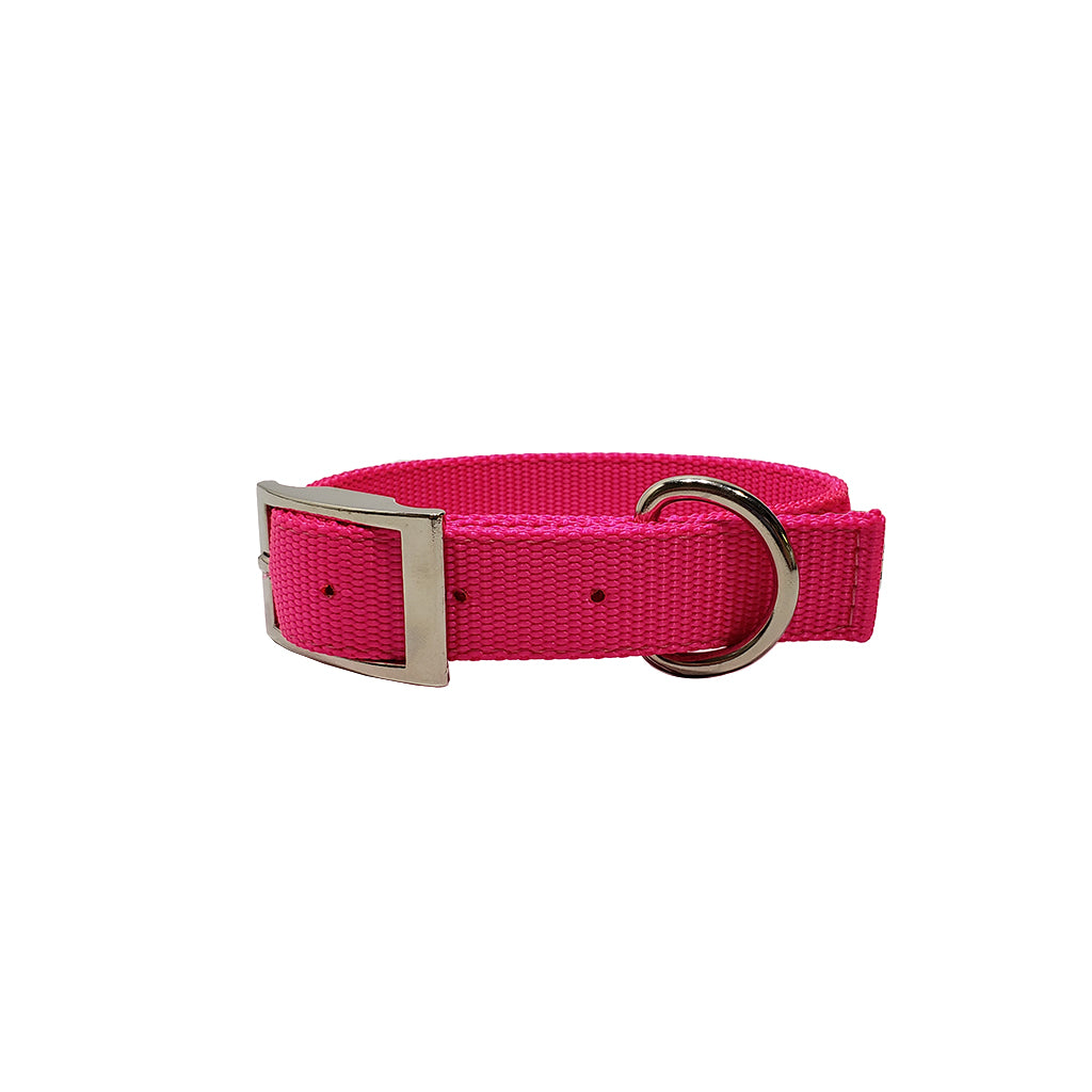 LCS Heavy Duty Nylon 1" Collar