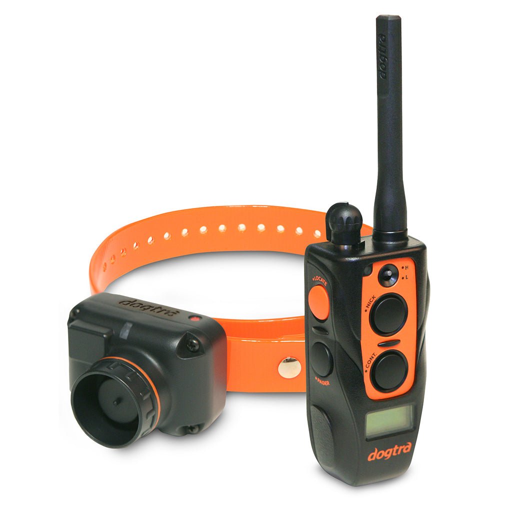 Dogtra 2700 T&B Training System