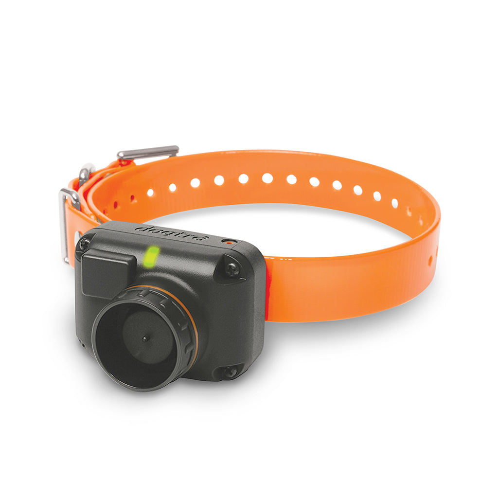 Dogtra 2702T&B Training System