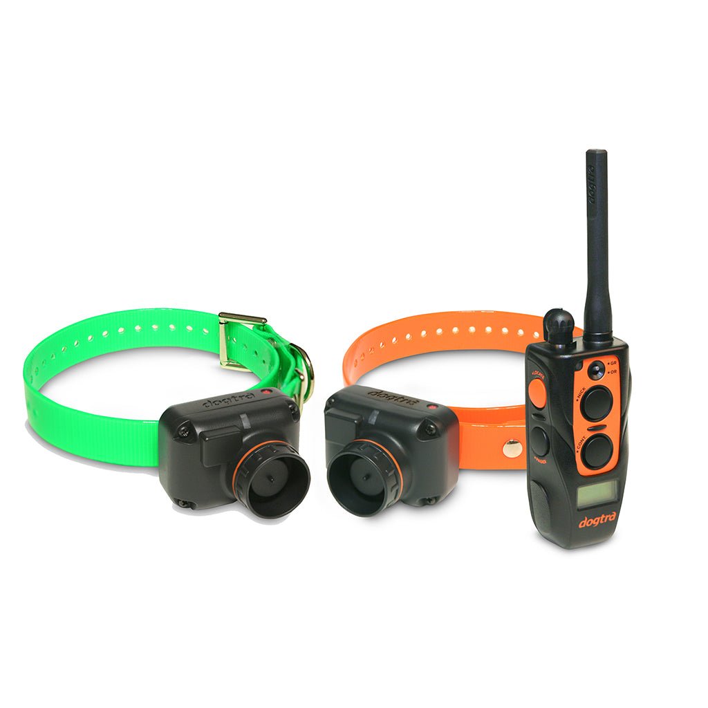 Dogtra 2702T&B Training System