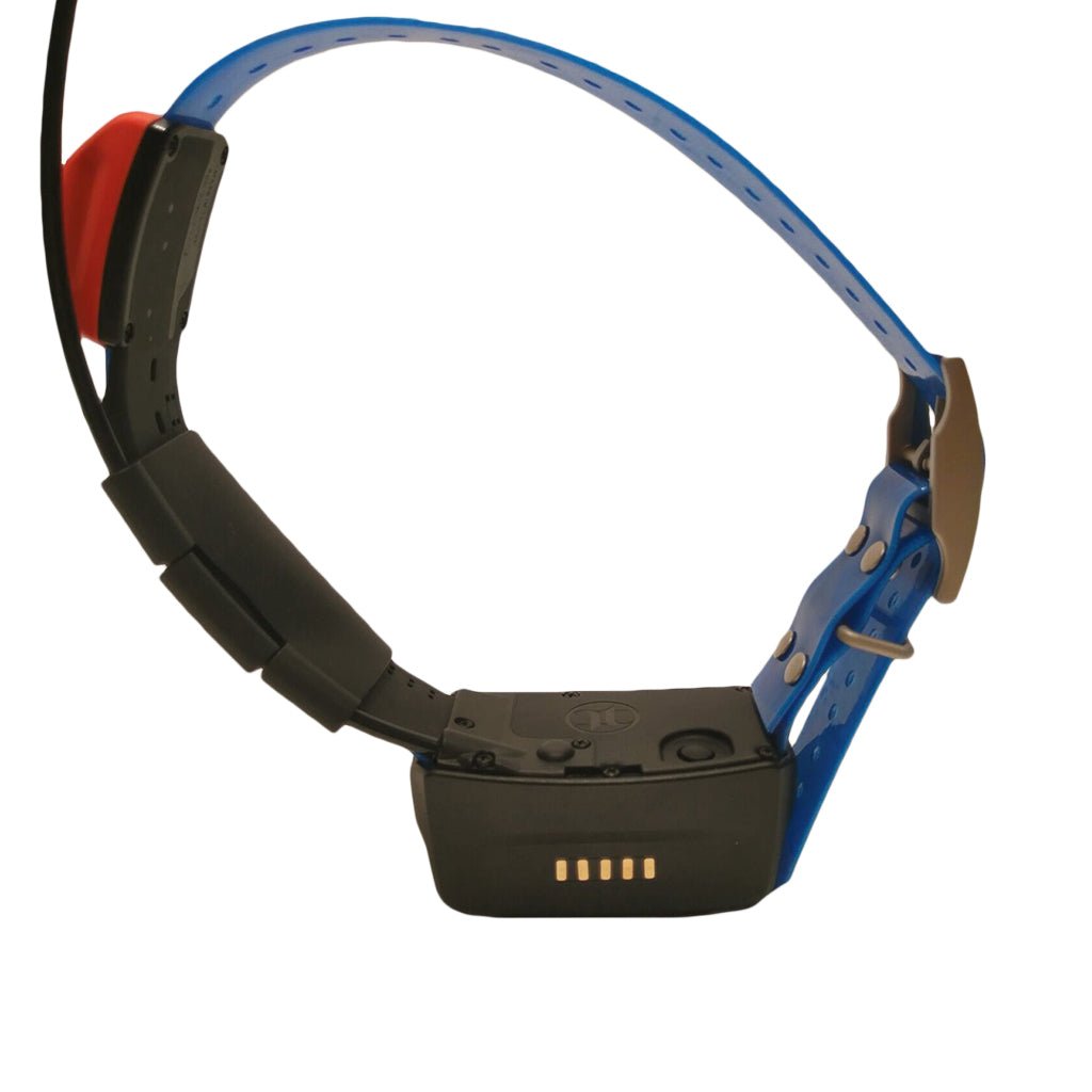 Pre - Owned Garmin T5 Extra Collar - Lion Country Supply