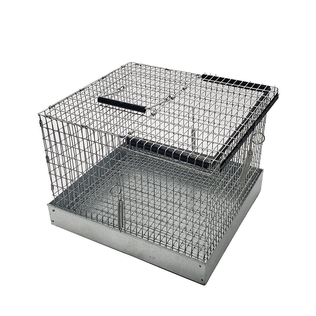 Better Bird Carry Cage