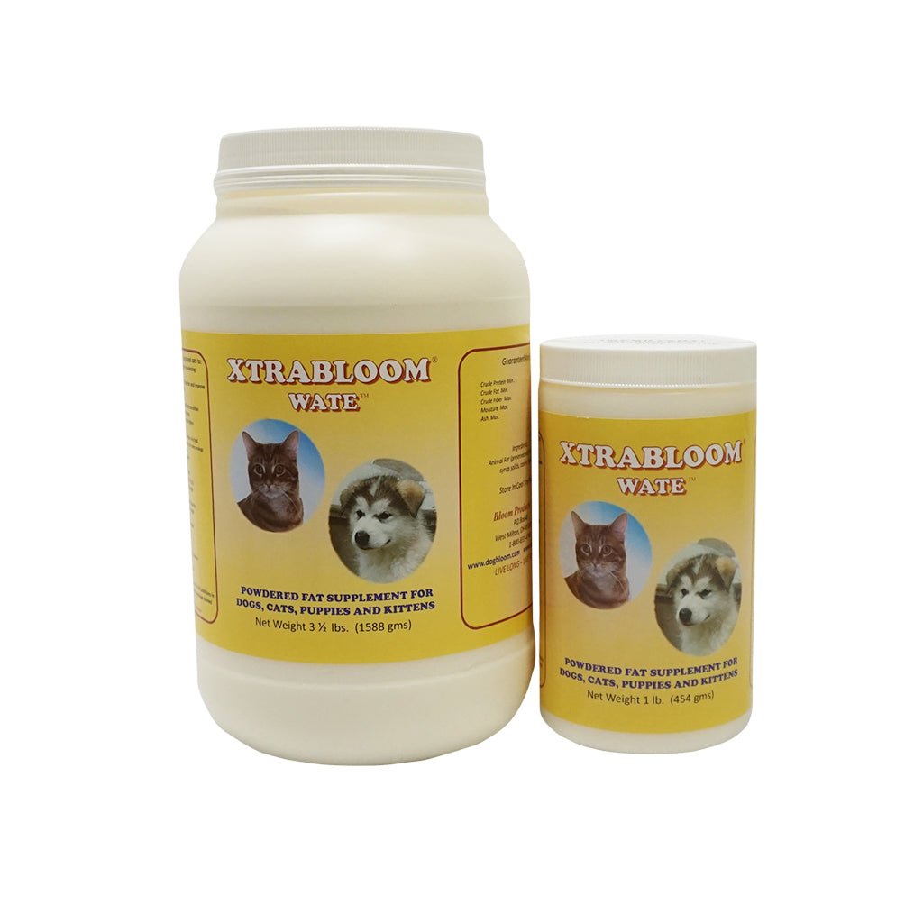 Bloom Dog Products Bloom Products Xtrabloom Wate – Hunting Dog Supply
