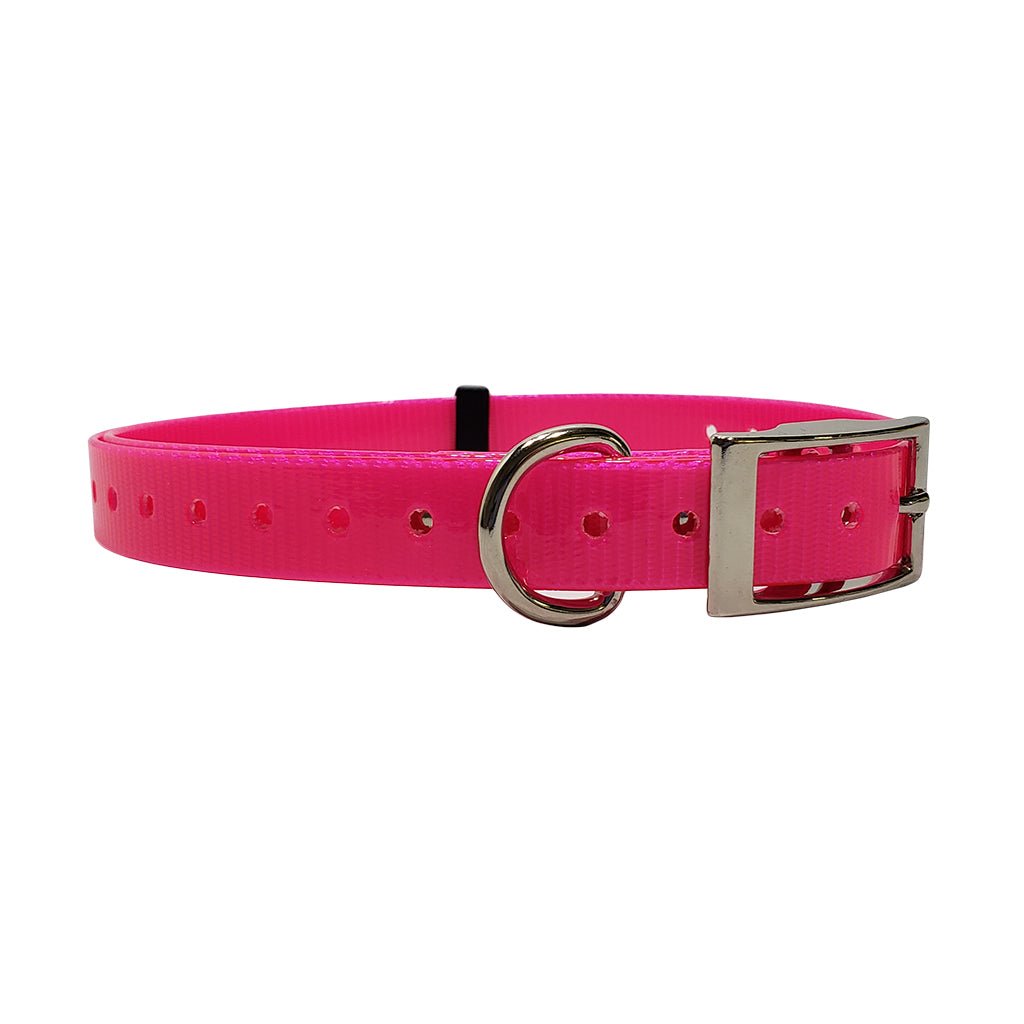 3/4 inch E-Collar Replacement Strap