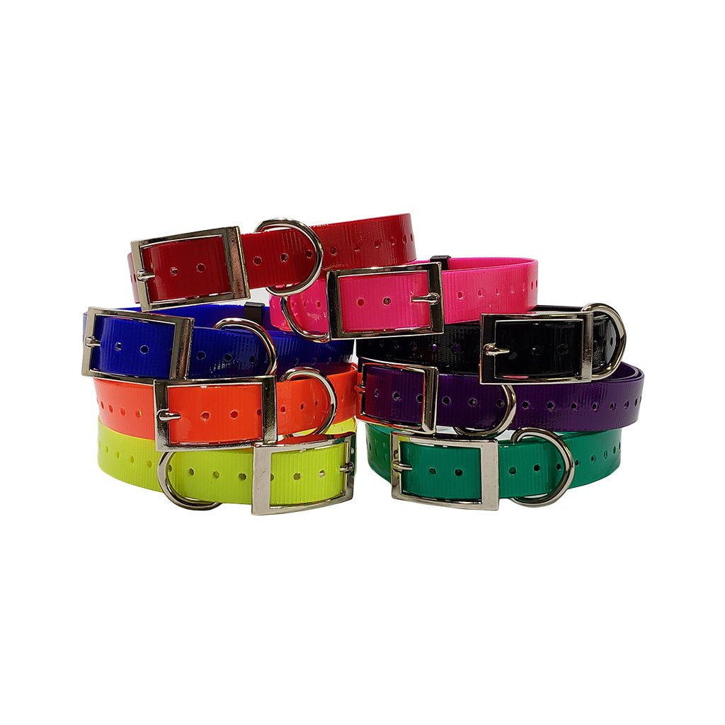 1 inch E-Collar Replacement Strap