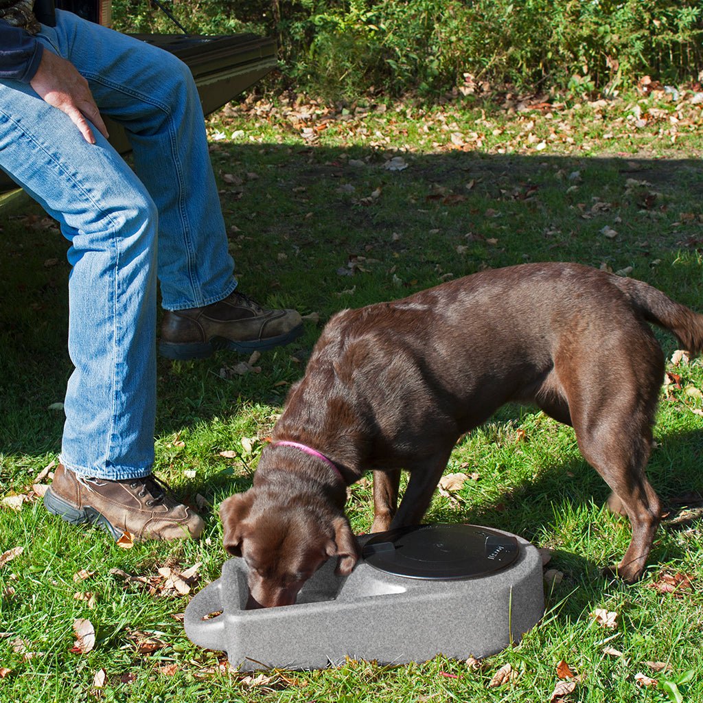 Dakota 283 Dine 'N Dash