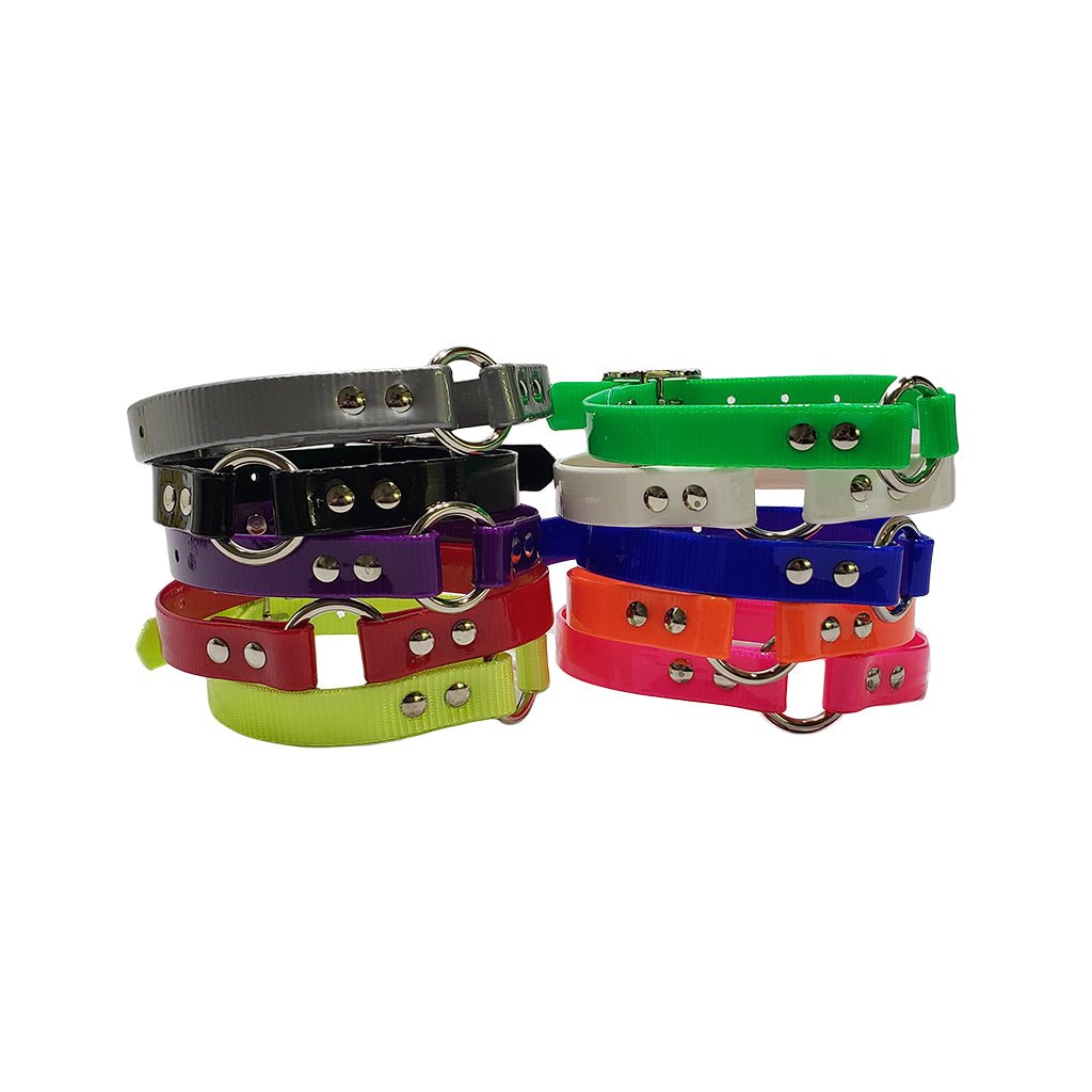 Omnipet LCS Dayglo 3/4 Inch O-Ring Collar – Hunting Dog Supply