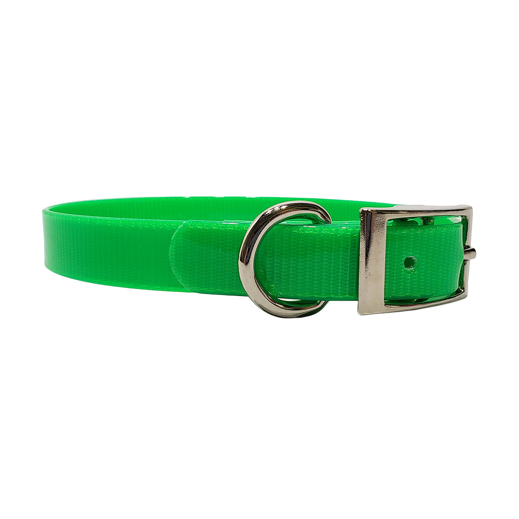 LCS Dayglo 3/4 Inch D-Ring Collar