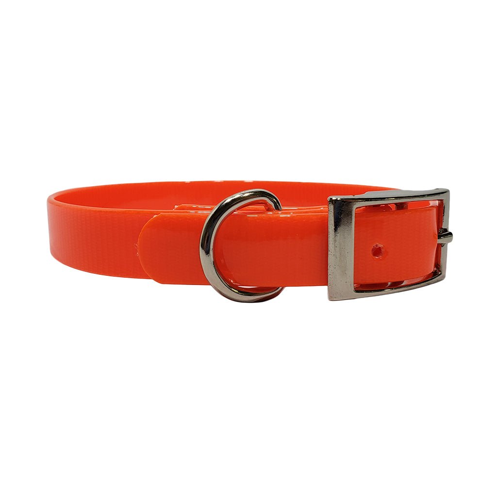 LCS Dayglo 3/4 Inch D-Ring Collar