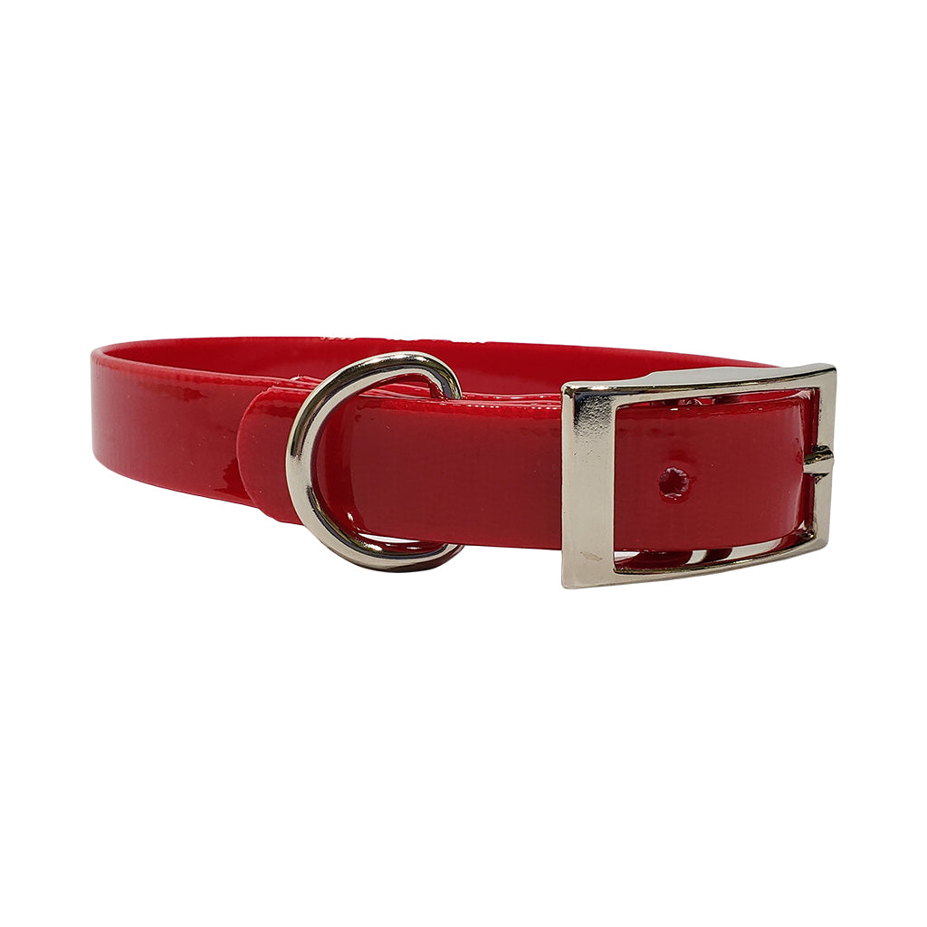 LCS Dayglo 3/4 Inch D-Ring Collar