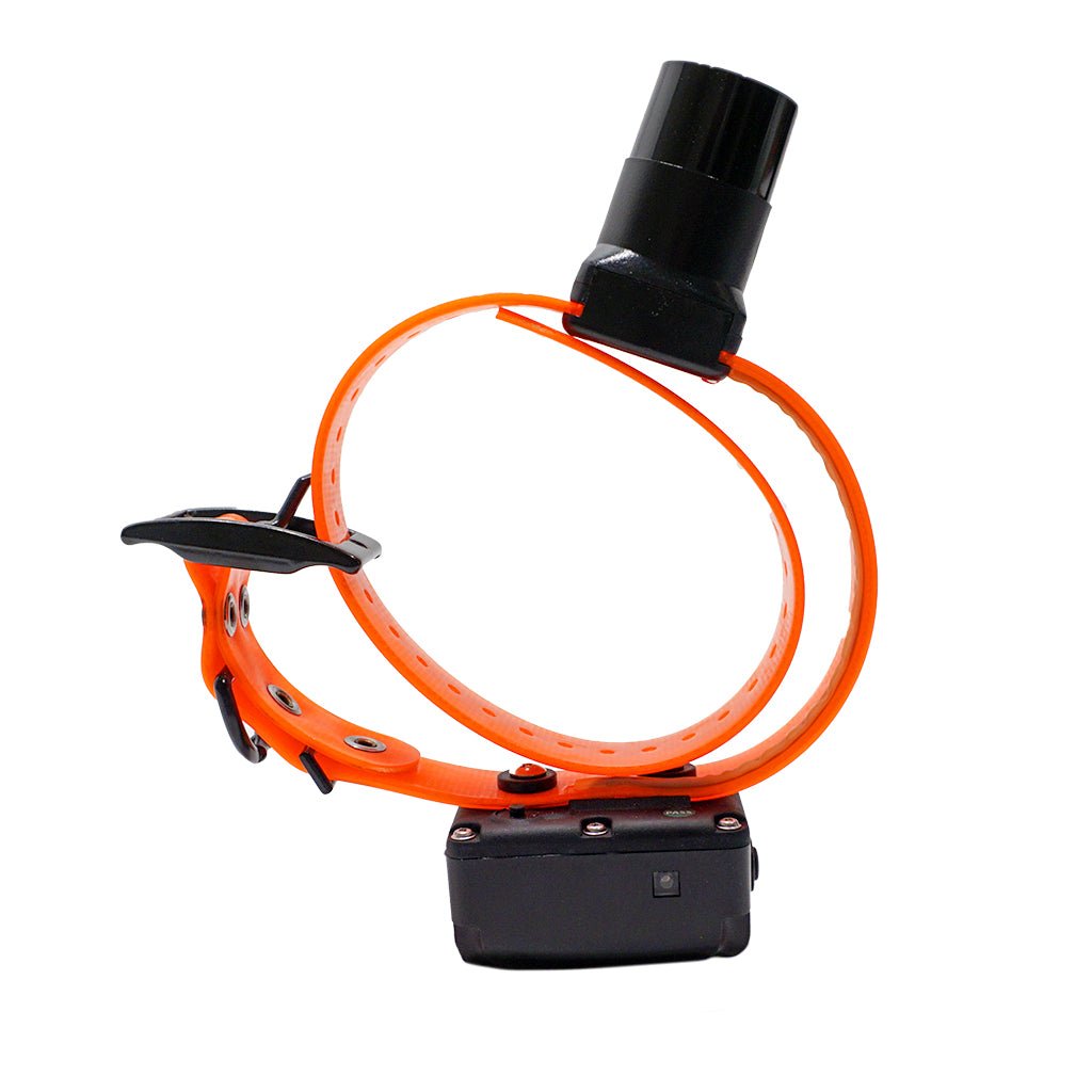 DT Systems DT Systems BTB800 Baritone Beeper Collar – Hunting Dog Supply