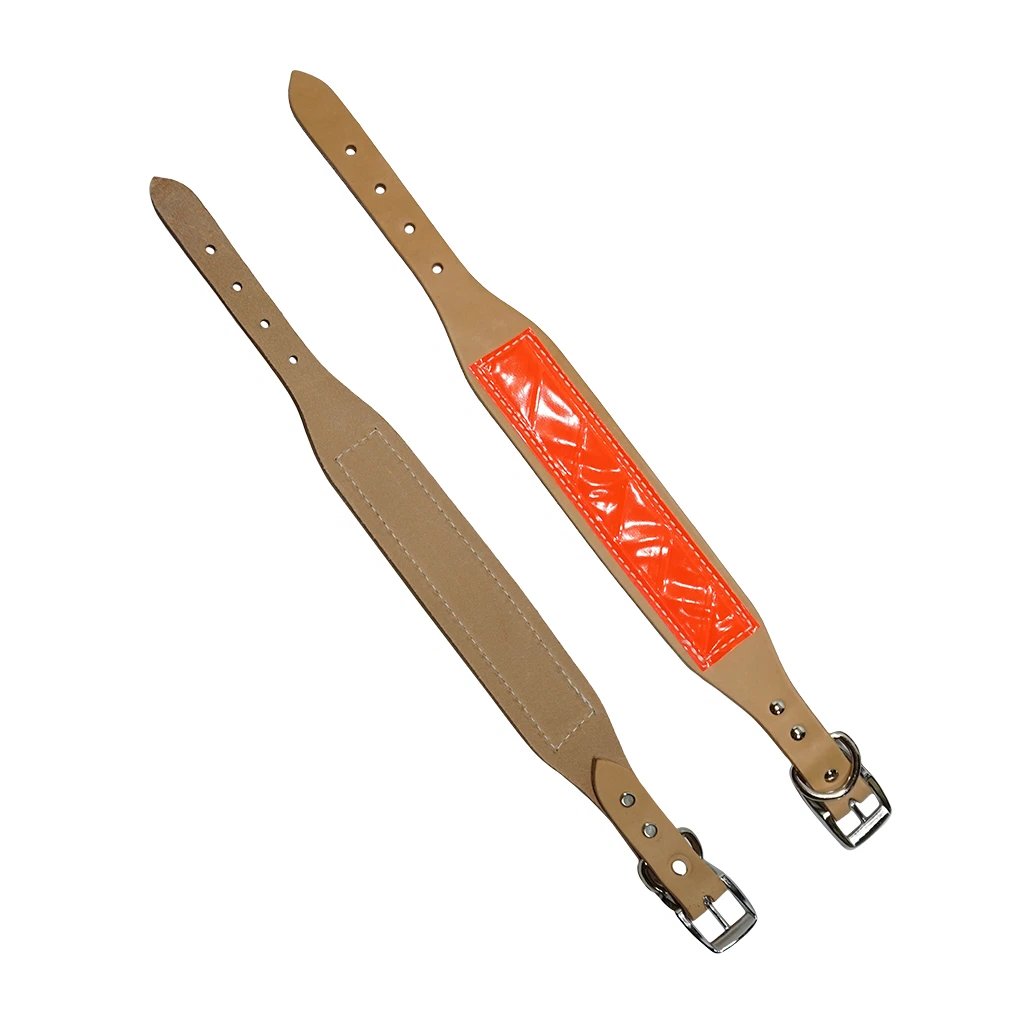 LCS Field Trial Collar