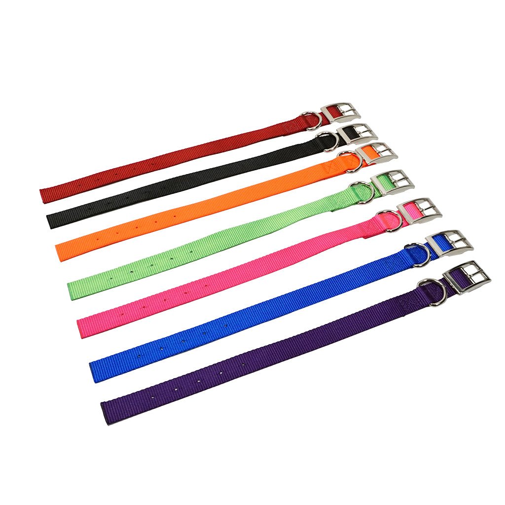 1 Inch Single Ply Nylon Collar