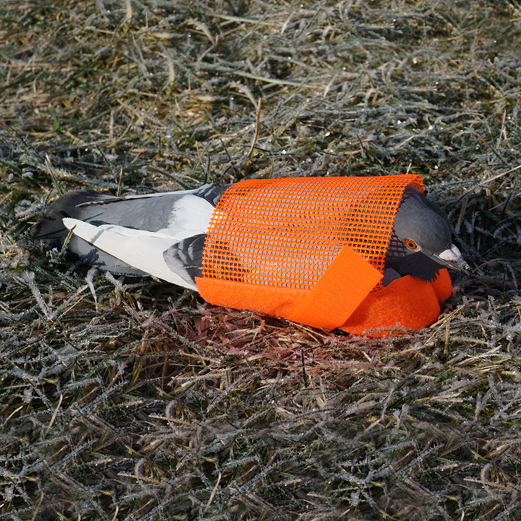 Pigeon Restraint Harness