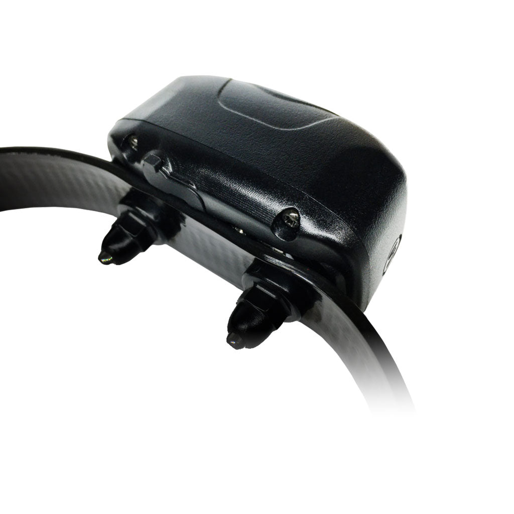 DT Systems DD700 E-Collar System